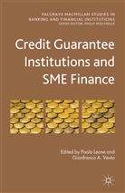 P. Vento Leone, Paol Leone, Paola Leone, Paola Vento Leone, Gianfranco A Vento, Gianfranco A. Vento... - Credit Guarantee Institutions and Sme Finance