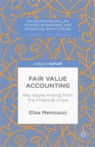 E. Menicucci, Elisa Menicucci - Fair Value Accounting