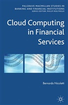 B Nicoletti, B. Nicoletti, Bernardo Nicoletti - Cloud Computing in Financial Services