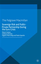 E. Braja, Eugenio Ma Braja, Eugenio Mario Braja, M. Campra, Maur Campra, Maura Campra... - Sovereign Risk and Public-Private Partnership During the Euro Crisis