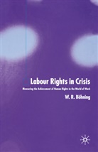 W. Bohning, W. R. Bohning, W Böhning, W. Böhning - Labour Rights in Crisis