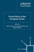 Jesus Fontana Ferreiro, J. Ferreiro, Jesus Ferreiro, Fontana, G Fontana, G. Fontana... - Fiscal Policy in the European Union
