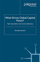 B Brown, B. Brown - What Drives Global Capital Flows?