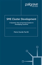 M Parrilli, M. Parrilli, Mario Davide Parrilli - Sme Cluster Development