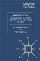 Maitland, A Maitland, A. Maitland, A. Thomson Maitland, P Thomson, P. Thomson - Future Work