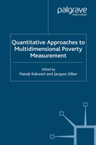 J. Silber, Kakwani, N Kakwani, N. Kakwani, Nanak Kakwani, Silber... - Quantitative Approaches to Multidimensional Poverty Measurement