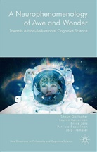 Patricia Bockelman, Shau Gallagher, Shaun Gallagher, Bruc Janz, Bruce Janz, Lauren Reinerman... - A Neurophenomenology of Awe and Wonder