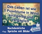 Sebastian Zawrel, Sebastia Zawrel, Sebastian Zawrel - Das Leben ist wie 1 Puseblume in Wind einzigartig und vergäglich, Postkartenaufsteller