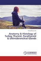 Hanaa Kareem Ali - Anatomy & Histology of Turkey Thyroid, Parathyroid & Ultimobranchial Glands