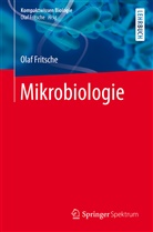 Olaf Fritsche, Martin Lay - Mikrobiologie