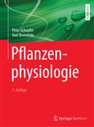 Axel Brennicke, Pete Schopfer, Peter Schopfer - Pflanzenphysiologie