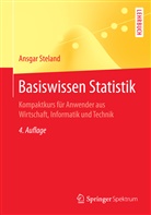 Ansgar Steland - Basiswissen Statistik
