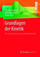 Carl H. Hamann, Carl Hein Hamann, Carl Heinz Hamann, Dir Hoogestraat, Dirk Hoogestraat, Rainer Koch - Grundlagen der Kinetik