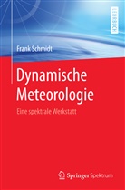 Frank Schmidt - Dynamische Meteorologie