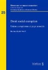 Bettina Kahil-Wolff - Droit social européen