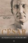 Adrian Keith Goldsworthy - César : la biografía definitiva