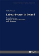 Micha¿ Wenzel, Michal Wenzel, Radoslaw Markowski - Labour Protest in Poland