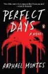 Raphael Montes - Perfect Days