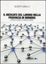 Giuseppe Gaballo - Il mercato del lavoro nella provincia di Brindisi. Capitale sociale e capitale umano