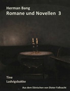 Herman Bang, Diete Fassnacht, Dieter Faßnacht - Herman Bang Romane und Novellen Band 3