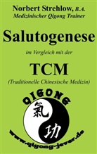 Norbert Strehlow - Salutogenese im Vergleich mit der TCM (Traditionelle Chinesische Medizin)