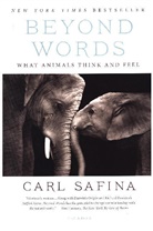 Carl Safina - Beyond Words