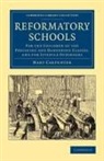 Mary Carpenter, Carpenter Mary - Reformatory Schools