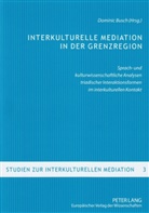 Dominic Busch - Interkulturelle Mediation in der Grenzregion