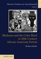 Barbara Haider - Blackness and the Color Black in 20th-Century African-American Fiction