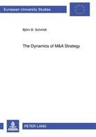 Björn Schmidt, Björn B. Schmidt - The Dynamics of M&A Strategy