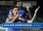 Stephan Köhnlein, Arthu Schönbein, Arthur Schönbein - Nur der Sportverein
