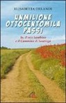 Elisabetta Orlandi - Unmilioneottocentomila passi. Io, il mio bambino e il Cammino di Santiago