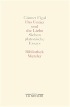 Günter Figal - Das Untier und die Liebe