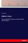 Felix Dahn - Odhin's Trost