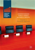 Manlio Del Giudice - Understanding Family-Owned Business Groups
