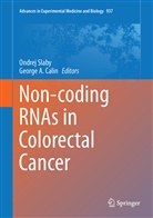 A Calin, A Calin, George A. Calin, Ondre Slaby, Ondrej Slaby - Non-coding RNAs in Colorectal Cancer