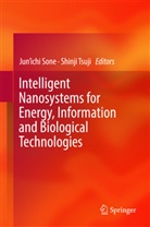 Jun’ichi Sone, Jun'ich Sone, Junichi Sone, Jun'ichi Sone, Tsuji, Tsuji... - Intelligent Nanosystems for Energy, Information and Biological Technologies