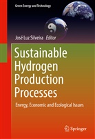 Jos Luz Silveira, José Luz Silveira, José Luz Silveira - Sustainable Hydrogen Production Processes