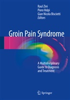 Gian Nicola Bisciotti, Gian Nicola Bisciotti, Pier Volpi, Piero Volpi, Raul Zini - Groin Pain Syndrome