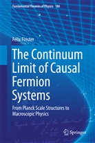 Felix Finster - The Continuum Limit of Causal Fermion Systems
