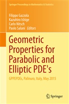 Filippo Gazzola, Kazuhir Ishige, Kazuhiro Ishige, Carlo Nitsch, Carlo Nitsch et al, Paolo Salani - Geometric Properties for Parabolic and Elliptic PDE's