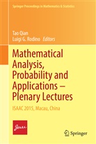G Rodino, G Rodino, Ta Qian, Tao Qian, Luigi G. Rodino - Mathematical Analysis, Probability and Applications - Plenary Lectures