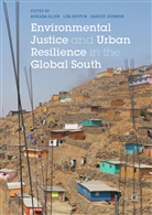 Adriana Griffin Allen, Adriana Allen, Liz Griffin, Liza Griffin, Cassidy Johnson - Environmental Justice and Urban Resilience in the Global South