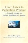 David A. Cooper, Rabbi David A. Cooper - Three Gates to Meditation Practices