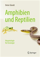 Dieter Glandt, Martin Lay - Amphibien und Reptilien