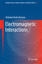 Slobodan Danko Bosanac - Electromagnetic Interactions