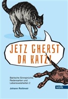 Johann Rottmeir - Jetz gherst da Katz!
