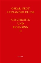 Alexander Kluge, Oska Negt, Oskar Negt - Werkausgabe - 6.2: Geschichte und Eigensinn II: Deutschland als Produktionsöffentlichkeit