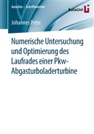 Johannes Peter - Numerische Untersuchung und Optimierung des Laufrades einer Pkw-Abgasturboladerturbine