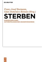 Gian Domenico Borasio, Franz-Jose Bormann, Franz-Josef Bormann, Domenico Borasio, Domenico Borasio - Sterben